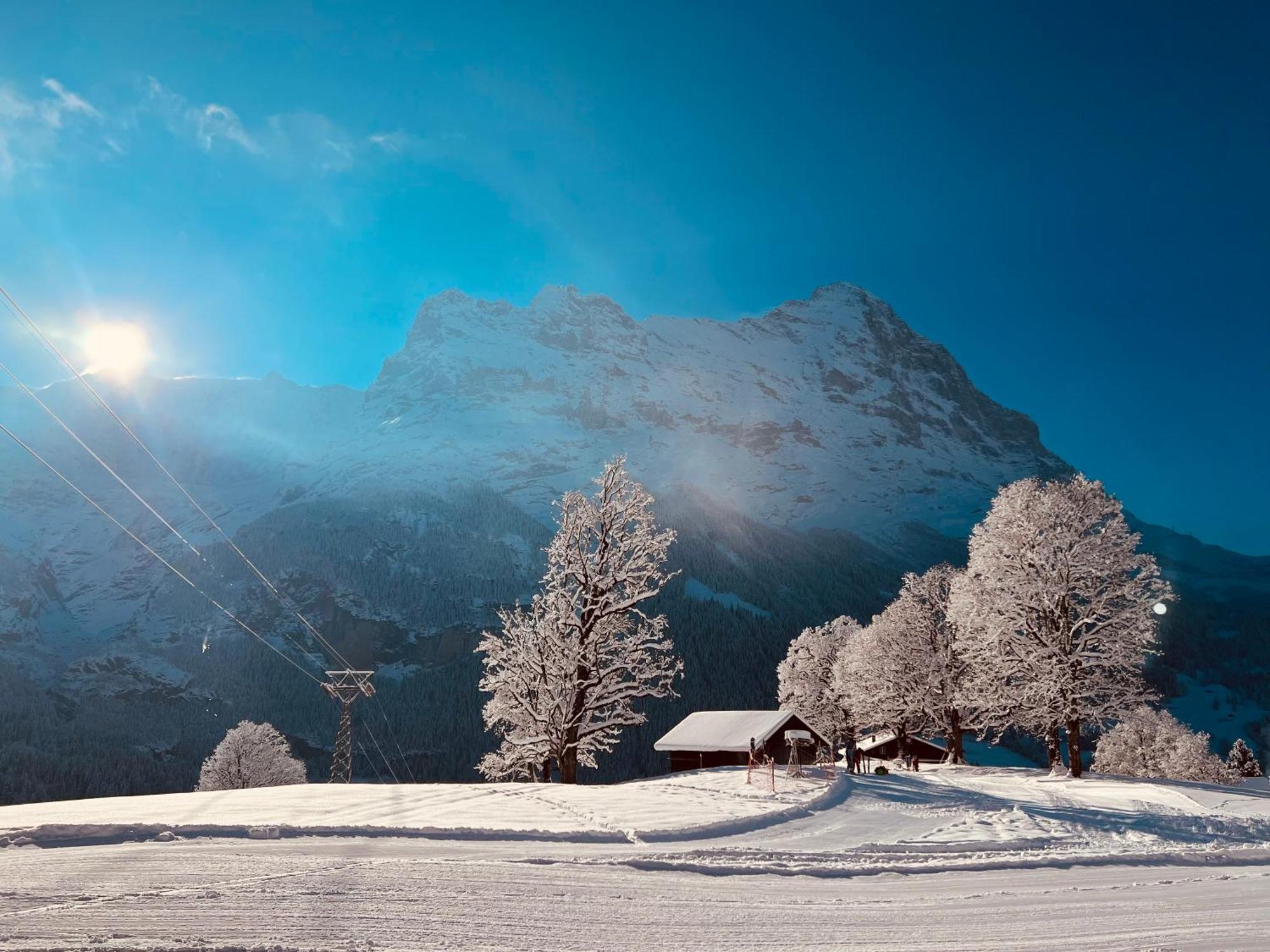 Hotel Bodmi Grindelwald Eksteriør billede